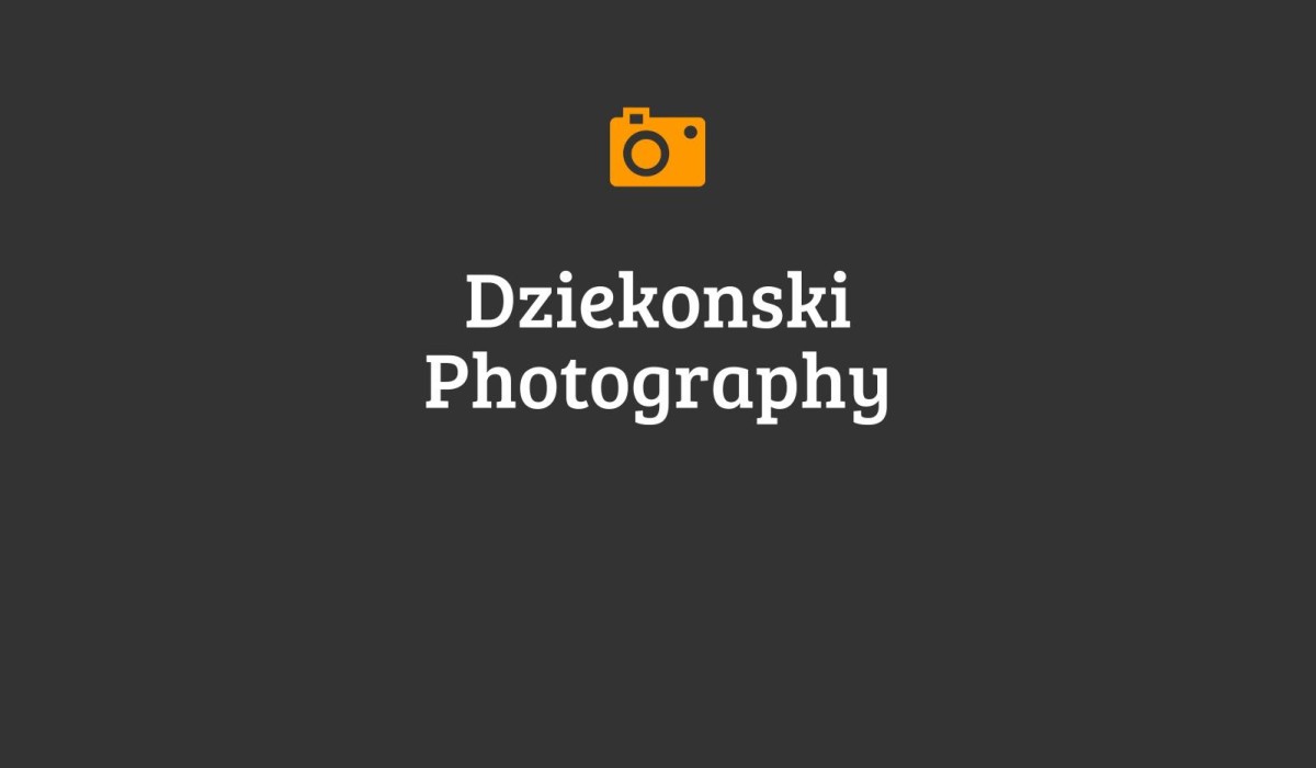 dziekonski photography wedding photographer michigan