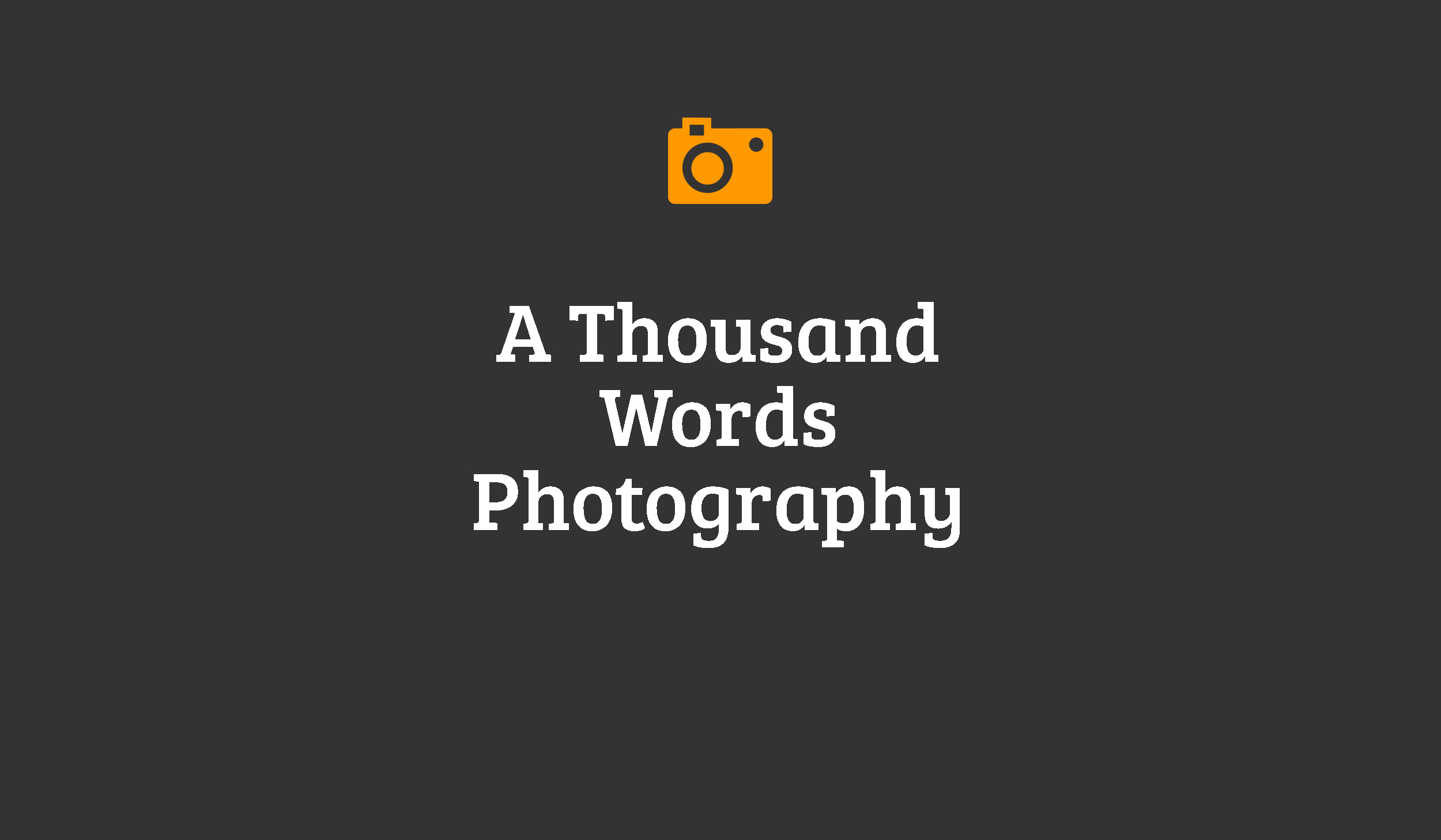 a thousand words photography wedding photographer michigan